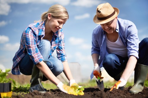 Stump grinding and tree care maintenance in Hayes