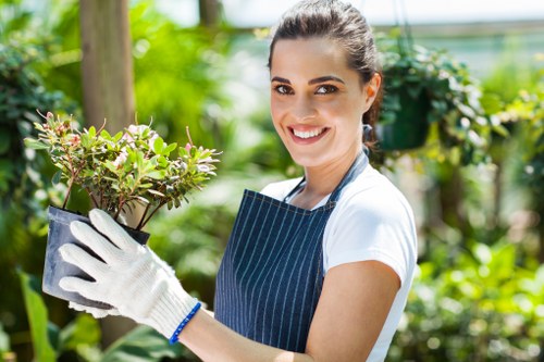 Healthy landscaped trees maintained by tree surgeons in Hayes