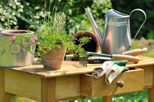 About Us Tree Surgeons Hayes team providing expert tree care in Hayes