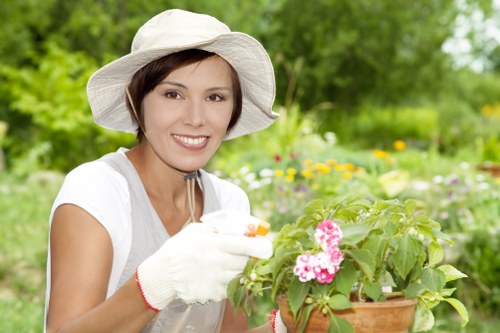 Tree surgeons Hayes secure payment page introduction