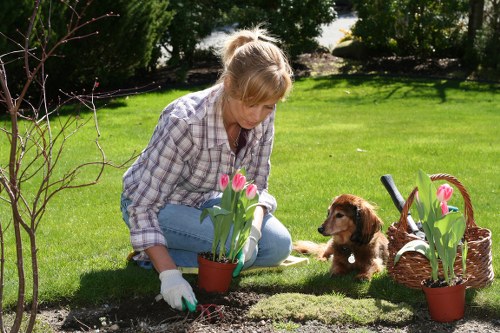 PCI compliant payment security for tree surgery clients